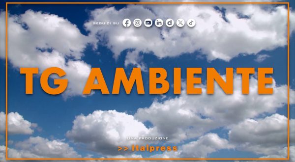 Tg Ambiente – 10/5/2026