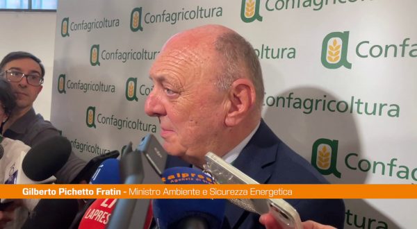 Dl bollette, Pichetto “Modifiche? Valuteremo in base a condizioni”
