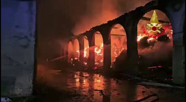 Nel Milanese scoppia un incendio a causa del maltempo, salvate 510 mucche