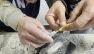 Genova, scoperti 11 kg tra cocaina e hashish nascosti in un carico di mattonelle