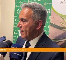 Moreschini "Con Efoi risultato storico per il comparto olive da tavola"