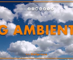 Tg Ambiente - 31/5/2026