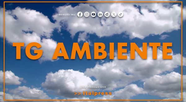 Tg Ambiente – 31/5/2026