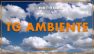 Tg Ambiente - 31/5/2026