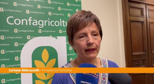 Abbruzzetti “Respiro internazionale per IX edizione premio Filo della Torre”