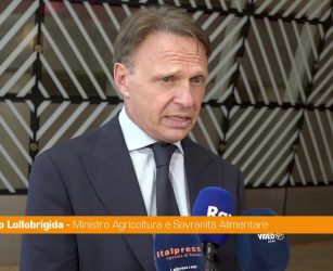 Lollobrigida "Sui fertilizzanti chiediamo all'Ue una strategia industriale"