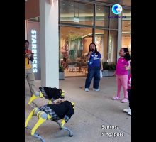 A Singapore cani robot cinesi intrattengono i turisti