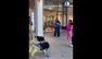 A Singapore cani robot cinesi intrattengono i turisti