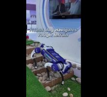 Cina, cane robot supera terreni accidentati alla World Intelligence Expo