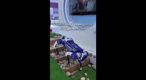 Cina, cane robot supera terreni accidentati alla World Intelligence Expo