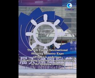 Cina, Tianjin International Shipping Industry Expo evidenzia opportunit&agrave; dell'IA