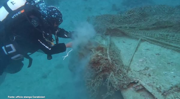 Isole Tremiti, i Carabinieri subacquei recuperano rete a strascico di 200 chili