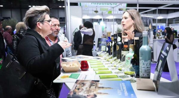 Il settore spagnolo dell’olio d’oliva mira al mercato cinese