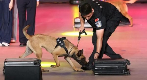 Cina, da inizio anno sequestrate oltre 4 tonnellate di droga alle frontiere