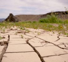Clima, la siccit&agrave; minaccia la produzione agricola mondiale