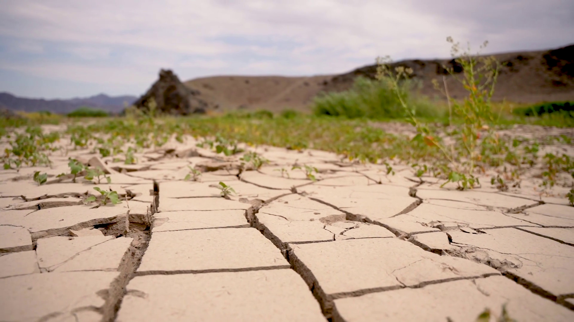 Clima, la siccit&agrave; minaccia la produzione agricola mondiale