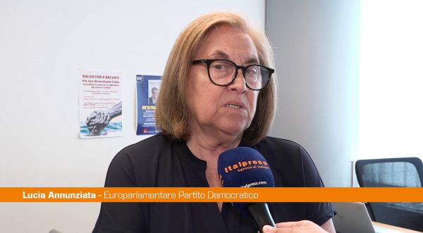 Annunziata “La difesa comune divide l’Europa, percorso ancora non avviato”