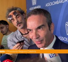 Occhiuto "Forza Italia segua la lezione di Berlusconi e la attualizzi"