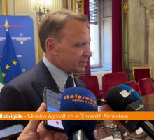 Agroalimentare, Lollobrigida "Controlli mirati per difendere il Made in Italy"