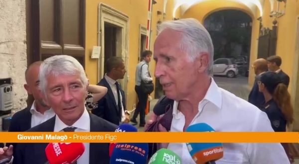 Figc, incontro Abodi-Malag&ograve; "C'&egrave; consapevolezza reciproca sulle priorit&agrave;"