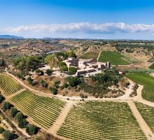 Feudi del Pisciotto, nel cuore della Sicilia Sudorientale il vino incontra la storia
