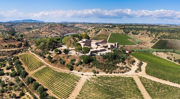 Feudi del Pisciotto, nel cuore della Sicilia Sudorientale il vino incontra la storia