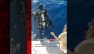 Rare footage captured of Great White shark in Mediterranean Sea. #Shark #Ocean #BBCNews