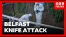 Man arrested on suspicion of attempted murder after 'brutal' knife attack in Belfast | BBC News