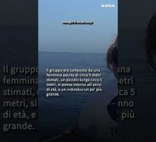 Famiglia di capodogli al largo di Sanremo #ansa #news