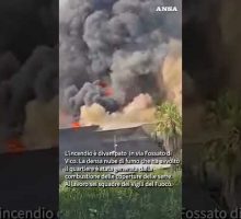 Fiamme in un vivaio a Roma, alta colonna di fumo sul Mandrione #ansa #news