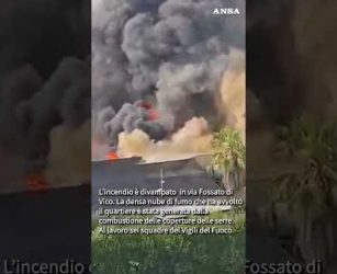 Fiamme in un vivaio a Roma, alta colonna di fumo sul Mandrione #ansa #news