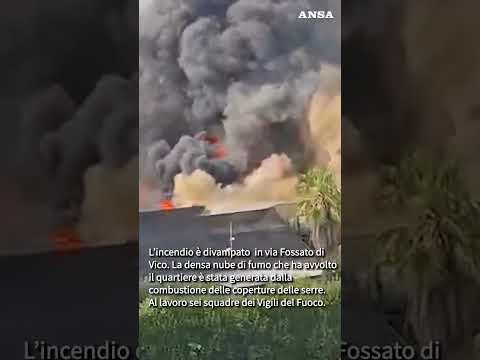 Fiamme in un vivaio a Roma, alta colonna di fumo sul Mandrione #ansa #news