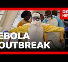 Ebola outbreak in DR of Congo could take year to end, Red Cross says | BBC News