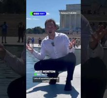 Why has the Lincoln Memorial Reflecting Pool turned green? #BBCNews