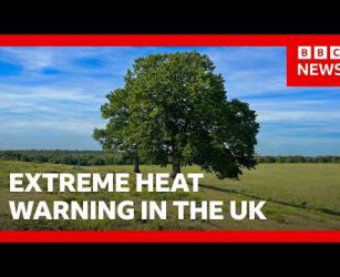 Four-day extreme heat warning begins in the UK | BBC News
