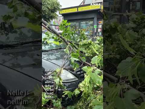 Roma, ciclone su Montesacro: alberi caduti e auto danneggiate #ansa #news