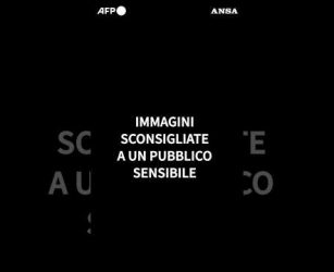 Riprende la caccia alle balene in Islanda dopo tre anni di stop: uccisi due esemplari #ansa #news