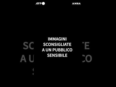 Riprende la caccia alle balene in Islanda dopo tre anni di stop: uccisi due esemplari #ansa #news
