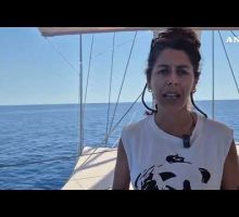 Santuario Pelagos, maxi-area protetta per i cetacei nell'alto Mediterraneo