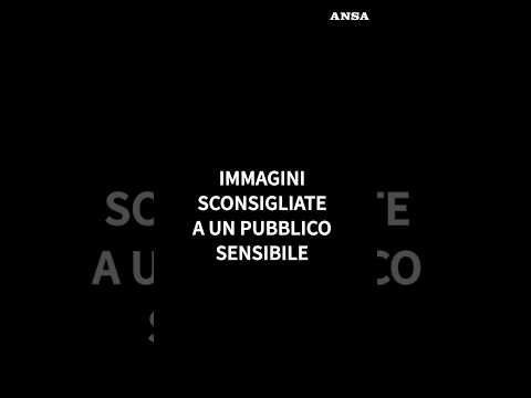 Triplice omicidio a Roma, i residenti:"Una strage,raccolta fondi per il figlio sopravvissuto" #ansa
