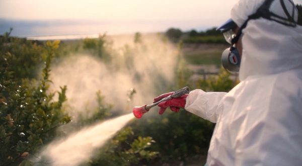 Pesticidi, ricercatori contro la semplificazione delle autorizzazioni