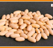 Sorsi di Benessere - Una crema leggera e gustosa