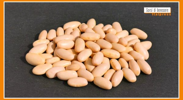Sorsi di Benessere – Una crema leggera e gustosa