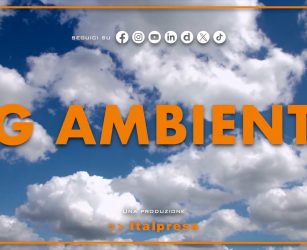 Tg Ambiente - 7/6/2026