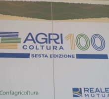Agri100, da Reale Mutua e Confagricoltura Puglia il nuovo report
