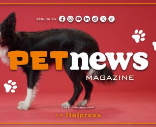 PetNews Magazine - 8/6/2026