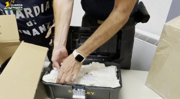 Droga dalla Spagna dentro cassa acustica e attrezzi, a Genova sequestro di 6kg