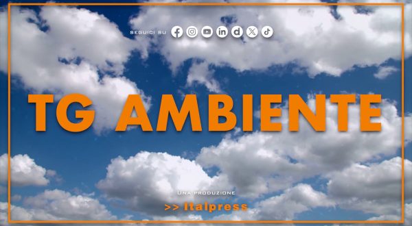 Tg Ambiente – 28/6/2026