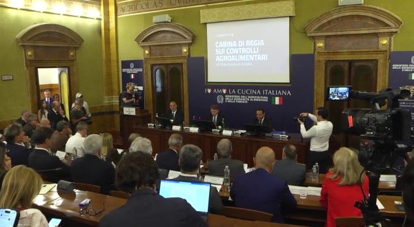 Il Masaf al fianco del settore olivicolo, tolleranza zero contro le frodi