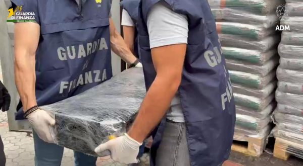 Sequestrati al porto di Gioia Tauro 113 kg di cocaina